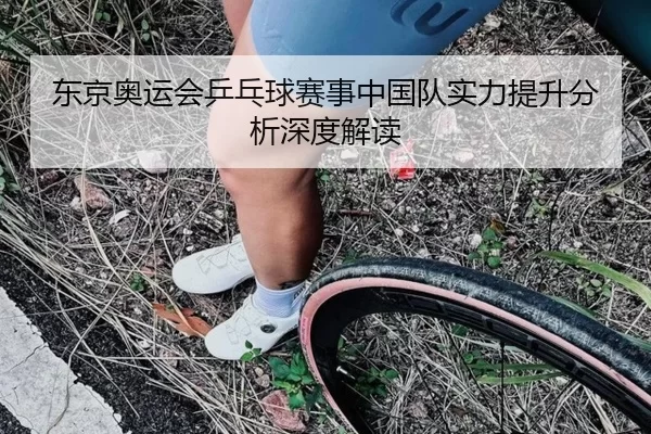 东京奥运会乒乓球赛事中国队实力提升分析深度解读